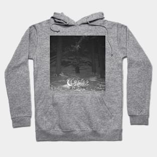 Album Cover Hoodie